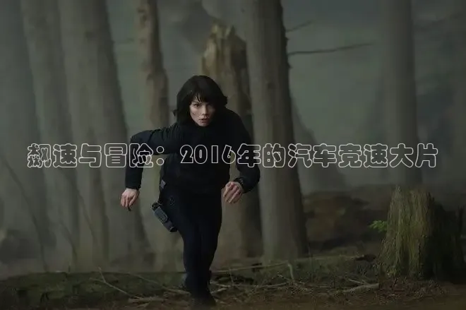 飙速与冒险：2016年的汽车竞速大片